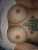 Vip Görüşen Elit Escort Maya - Image 11